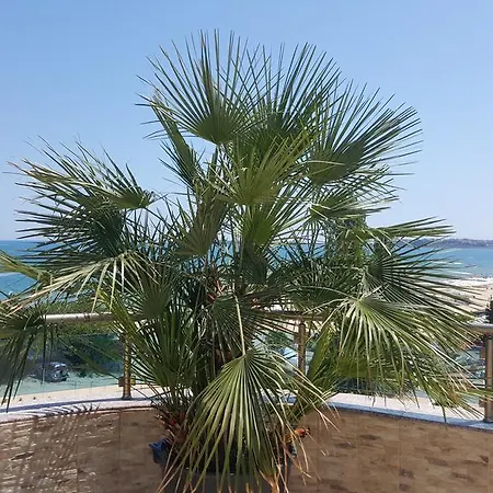 Apartment Deluxe Gallery 2